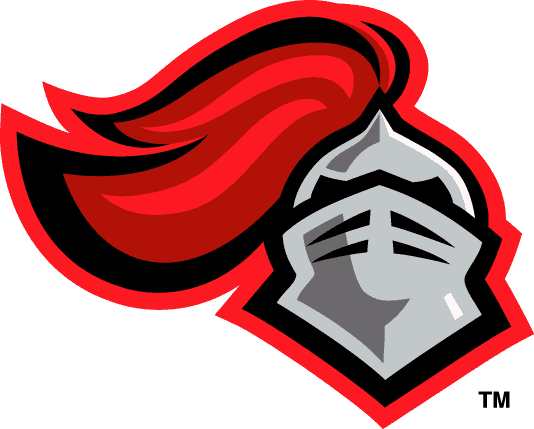 Rutgers Scarlet Knights 1995-Pres Secondary Logo diy fabric transfer